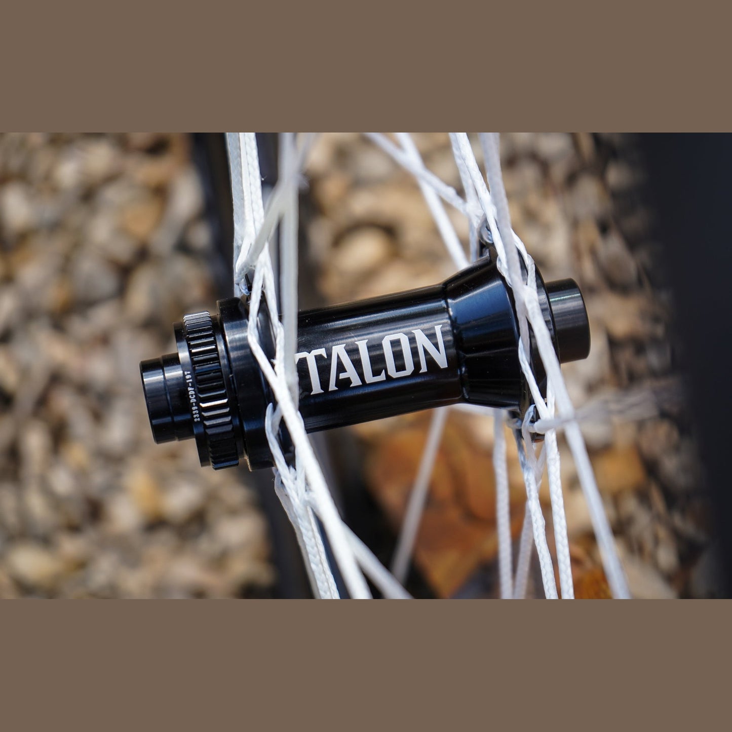 Berd Sparrow Carbon Gravel Wheels