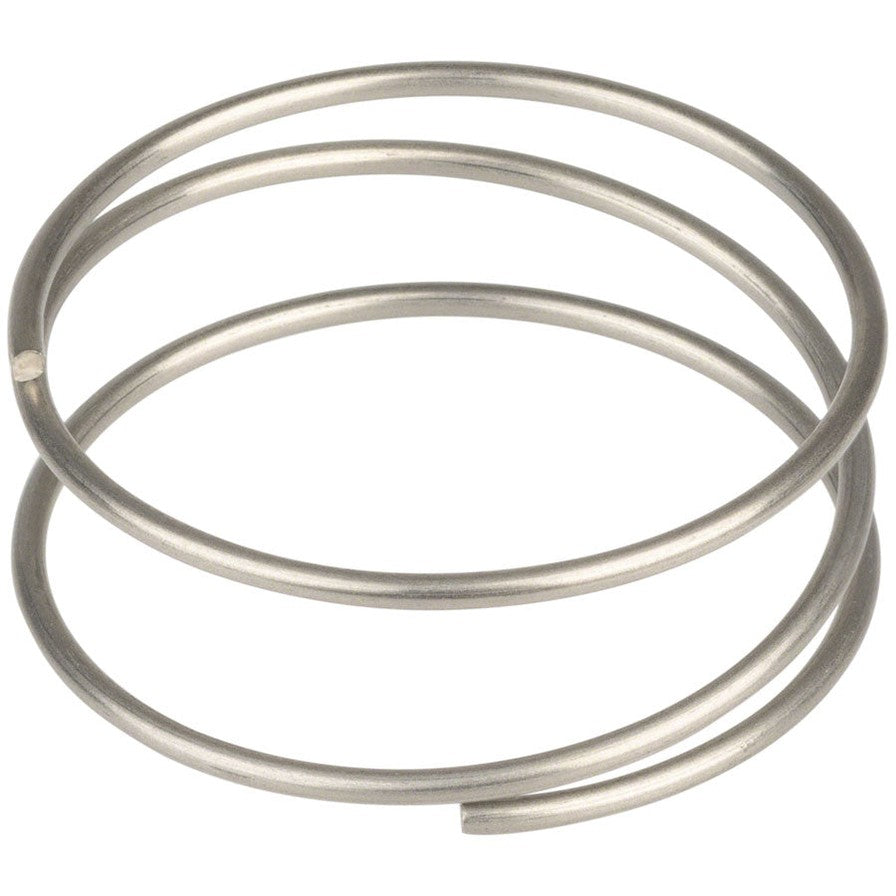 DT Swiss Driver Spring - Ratchet EXP