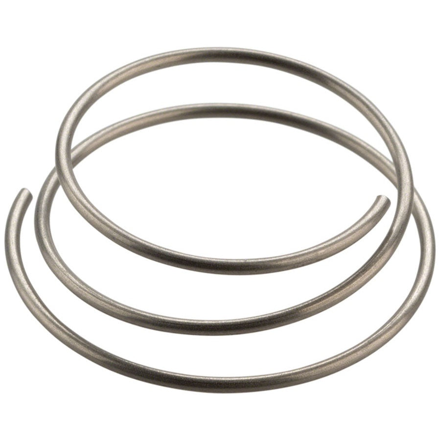 DT Swiss Star Ratchet Spring