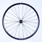 Bicycle wheel with black rim and spokes on a white background