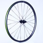 Local Velo Custom Gravel Wheelset - Light Bicycle AR25 + Berd Polylite Spokes + Berd Talon Hubs - XDR, Centerlock