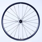 Bicycle wheel with black rim and spokes on a white background