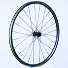 Local Velo Custom Gravel Wheelset - Light Bicycle AR25 + Berd Polylite Spokes + Berd Talon Hubs - XDR, Centerlock
