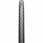 Continental Grand Prix 4-Season Tire - 700 x 25, Clincher, Folding, Black, Vectran Breaker, DuraSkin