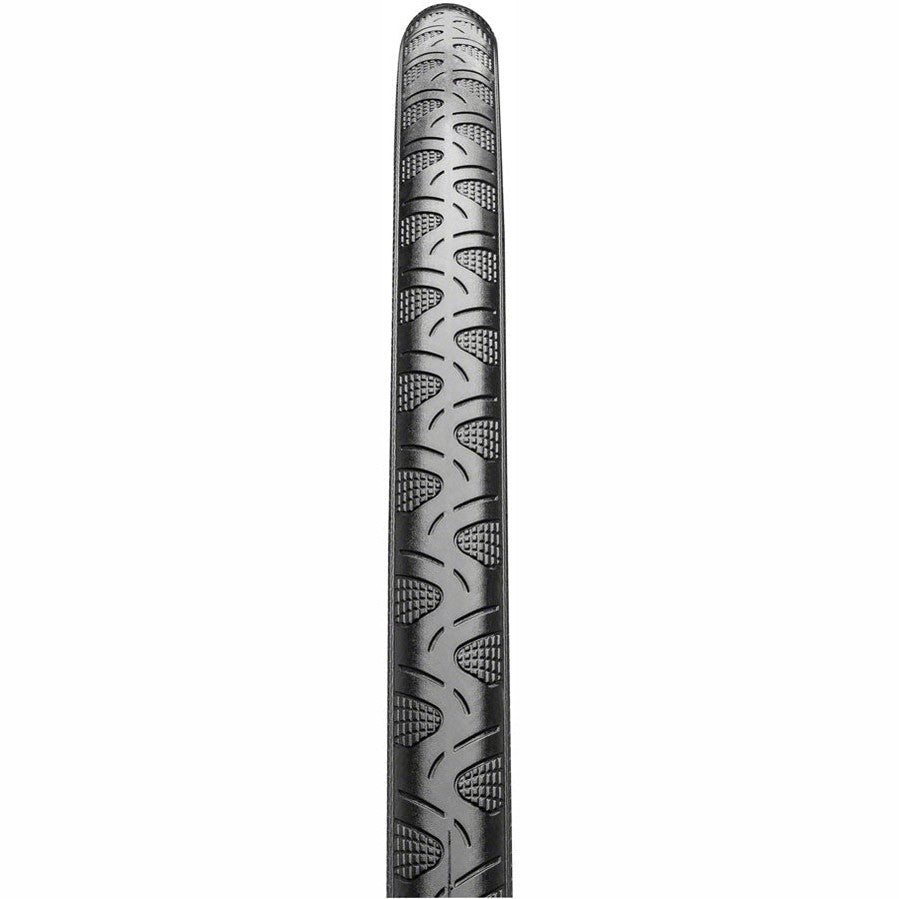 Continental Grand Prix 4-Season Tire - 700 x 25, Clincher, Folding, Black, Vectran Breaker, DuraSkin