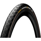 Continental Grand Prix 4-Season Tire - 700 x 25, Clincher, Folding, Black, Vectran Breaker, DuraSkin