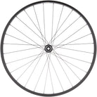 Quality Wheels Value Double Wall Series Disc Front Wheel - 700, 12 x 100mm, Center-Lock, Black, 28H